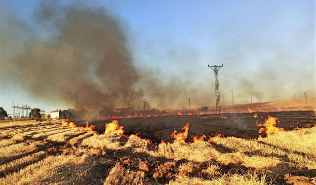 Anız yangınlarından dolayı Urfa'da birçok mahalle elektriksiz kaldı