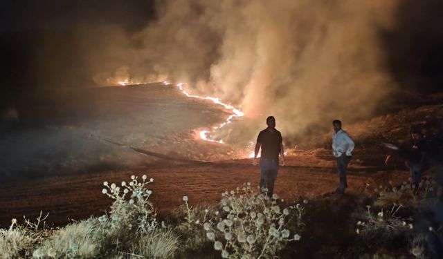 Urfa'da Germuş bölgesinde yangın