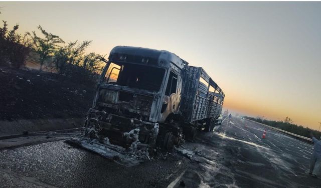 Birecik Otoyolunda Araç Küle Döndü