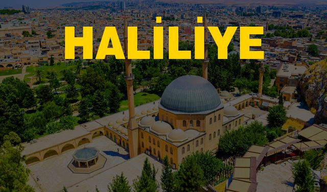 İşte Haliliye'deki muhtarların telefon numaraları