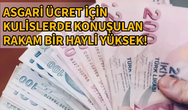 Asgari ücret ne kadar olacak?