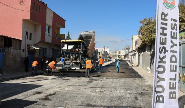 Ceylanpınar'da hummalı çalışma...