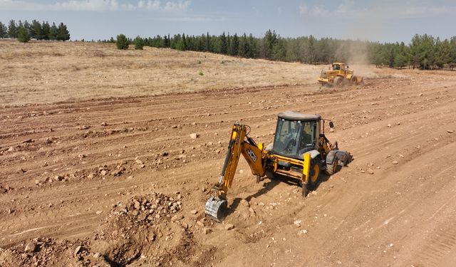 Urfa'da 100 dönümlük orman için çalışmalara başlandı