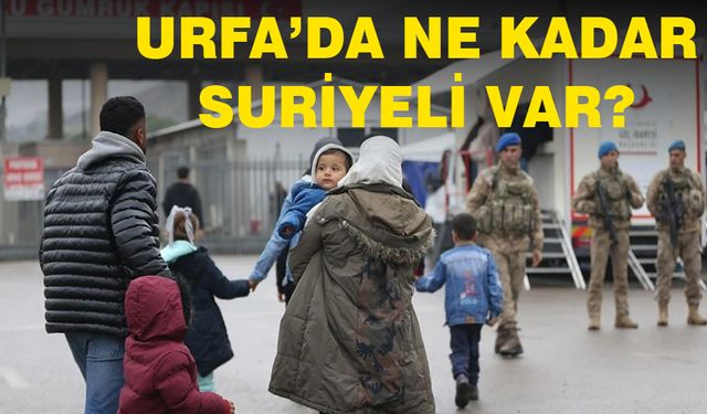 Urfa'da ne kadar Suriyeli var?