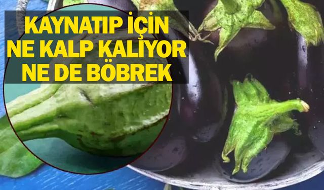 Hepimiz kesip atıyoruz ama asıl faydası sapındaymış...