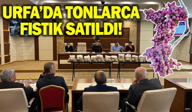 Urfa'da tonlarca fıstık satıldı!