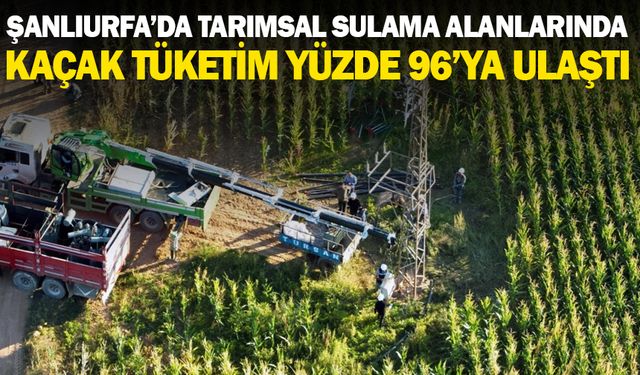 Şanlıurfa’da tarımsal sulama alanlarında kaçak tüketim yüzde 96’ya ulaştı.