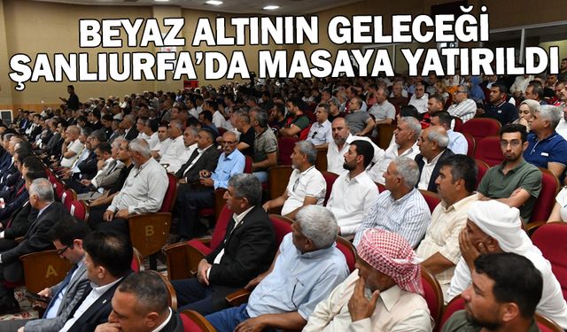 BEYAZ ALTININ GELECEĞİ ŞANLIURFA’DA MASAYA YATIRILDI