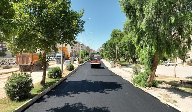 Urfa Büyükşehirden Viranşehir'e asfalt atağı