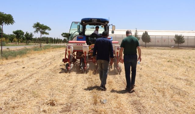 Urfa'da yeni tarım modeli uygulandı