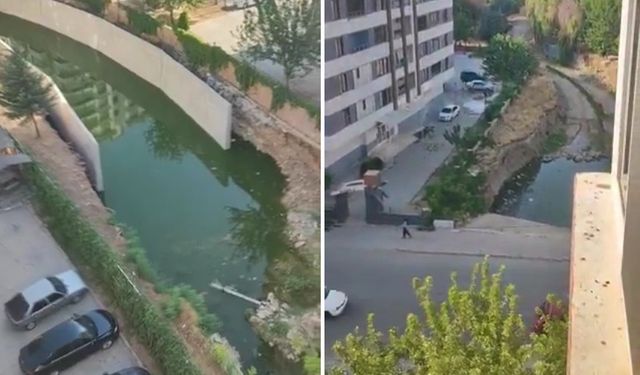 Karaköprü'deki dere yatağının hali tepki topluyor