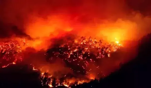 Karabük 5 gündür yanıyor..