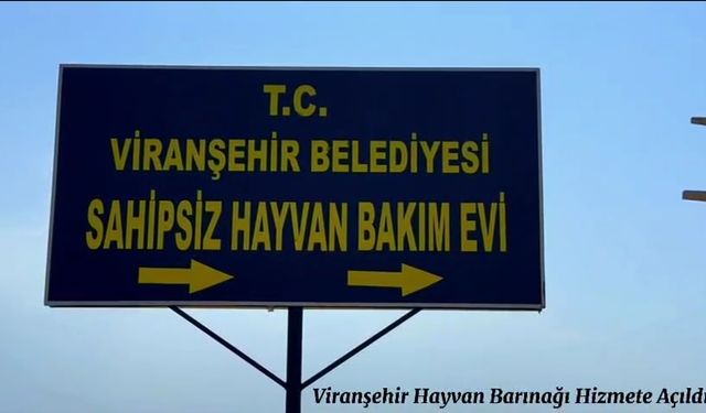 Viranşehir’e tam teşkilli hayvan barınağı