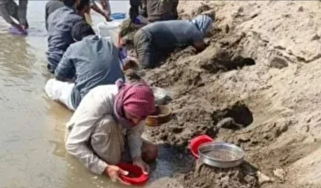 Fırat Nehri'nde sular çekildi altın görüldü