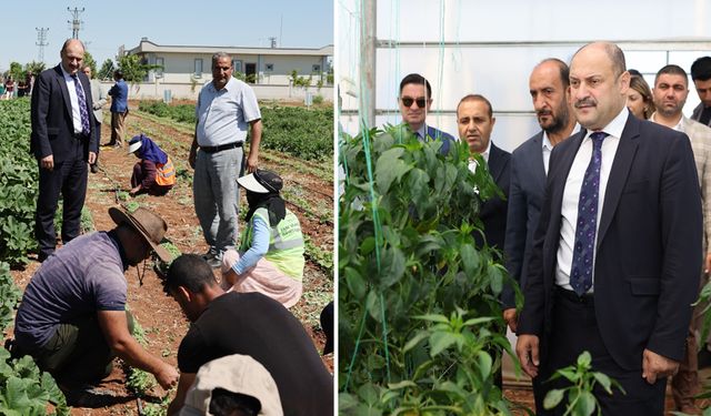 Başkan Gülpınar Ata tohumlarının ekildiği bahçeyi gezdi