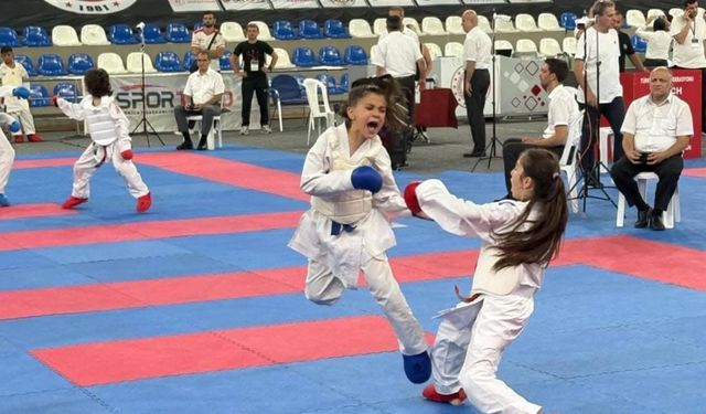 Viranşehirli kareteciler Karadeniz şehrinden madalyalarla döndü