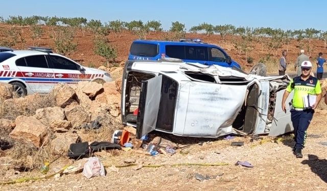 Urfa'da köy yolunda korkunç kaza; Ölü ve Yaralı Var