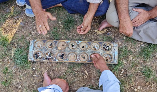 Gençler bilmez yaşlıların bu tutkulu oyununu...
