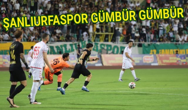 Urfaspor'u tutana aşk olsun...