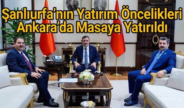 Eyyüpoğlu ve Canpolat Cumhurbaşkanı Yardımcısı Yılmaz'ı ziyaret etti