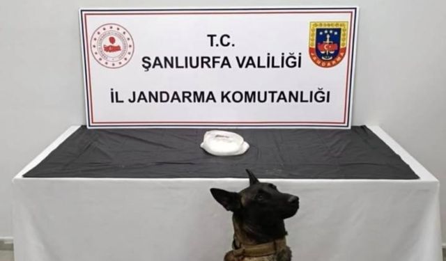 Urfa'da bir şahsın üzerinden tam yarım kilo madde yakalandı