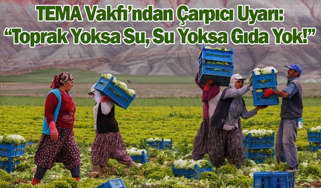 “Toprağı Kaybediyoruz, Geleceğimizi Kaybediyoruz”