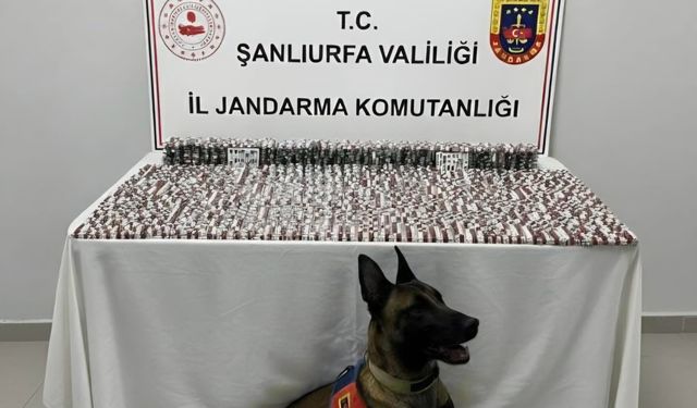 Urfa'da binlerce uyuşturucu hap ele geçirildi