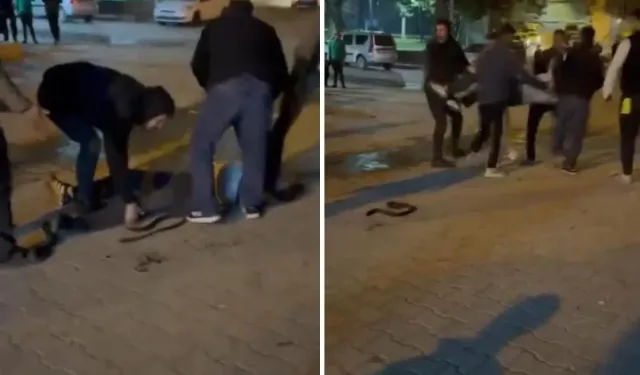 Urfa’da yine olay! Silahlar konuştu…