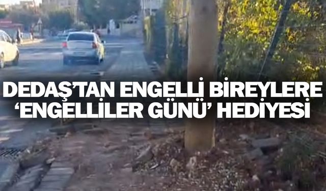 Yeni dikilmiş gibi, zemin ıslaklığını koruyor!