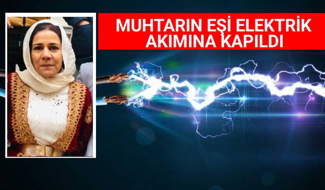 Suruç’ta Elektrik Akımı Faciası: Muhtarın Eşi Hayatını Kaybetti