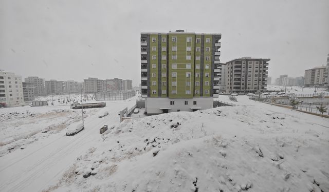 Urfa'ya öyle böyle kar yağmıyor!