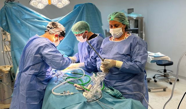 Şanlıurfa'da yüz güldüren operasyon