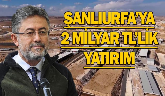 Şanlıurfa Hayvancılıkta Şaha Kalkıyor