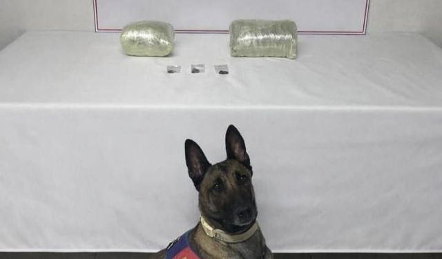 Şanlıurfa’da Uyuşturucu Operasyonu: Kilolarca Esrar Ele Geçirildi