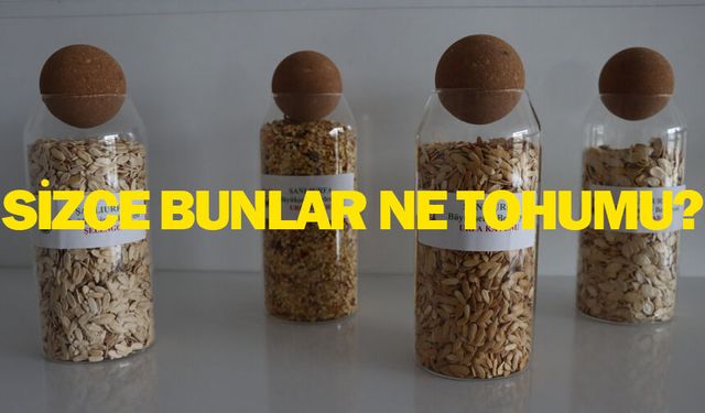 Şanlıurfa Büyükşehir Belediyesi dağıtacak