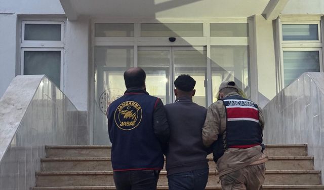 Urfa'da 70 milyonluk dolandırıcılık!