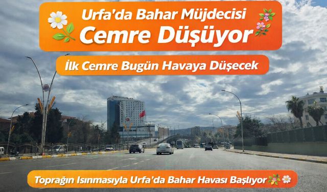 Urfa'da cemre düşüyor