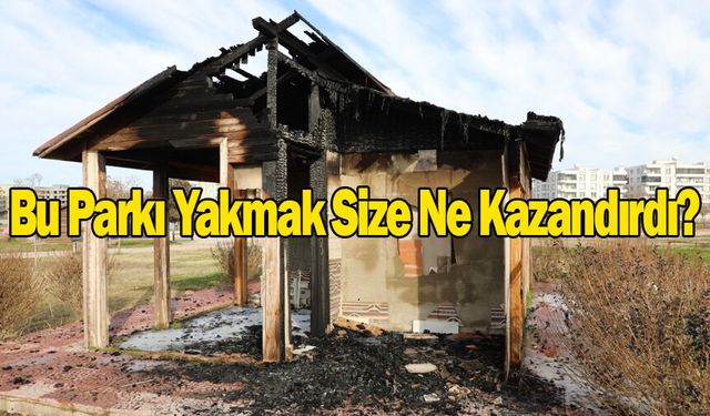 Viranşehir Belediyesi tepki gösterdi