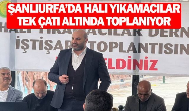 Urfa'daki halı yıkamacılarıyla ilgili flaş gelişme!