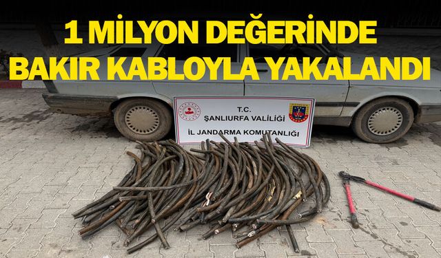 Ceylanpınar’da Milyonluk Kablo Hırsızlığı: Jandarmadan Suçüstü!