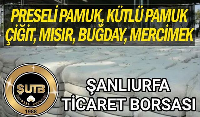 Şanlıurfa’da Pamuk ve Mısır İşlemleri Dikkat Çekti