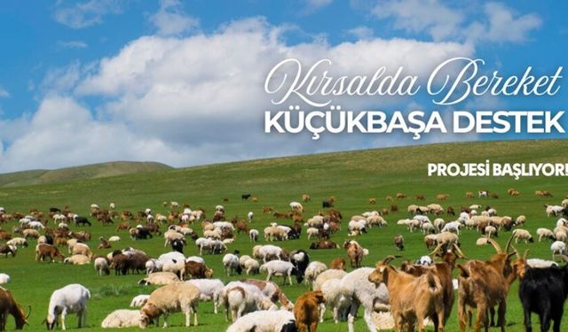 Urfalı besicilere müjde! Başvurular başlıyor