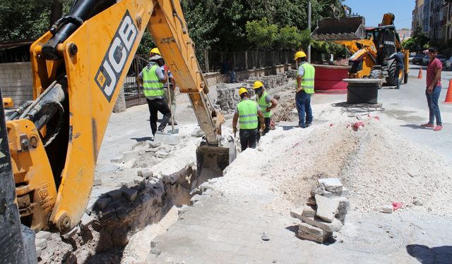 Dicle Elektrik'ten Harran'a yarım Milyarlık yatırım
