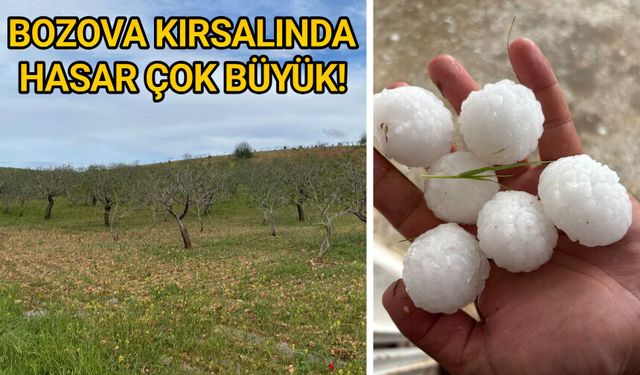 Çiftçilerden Vali Şıldak'a çağrı...