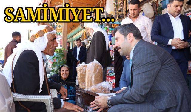 Milletvekili Eyyüpoğlu’ndan Şanlıurfa Çıkarması: Eyyübiye ve Viranşehir’de Vatandaşla İç İçe