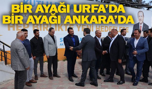 Vekil Eyyüpoğlu Eyyübiye'de...