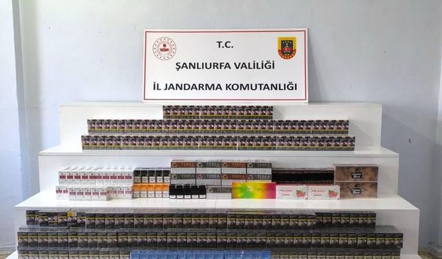 Şanlıurfa jandarması kaçakçılara göz açtırmıyor
