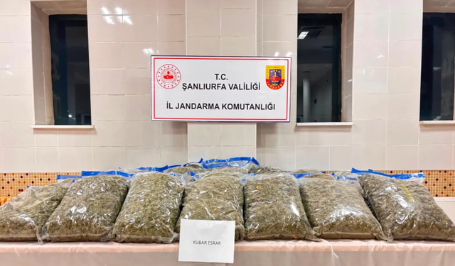 Şanlıurfa dahil 24 ilde zehir tacirlerine operasyon