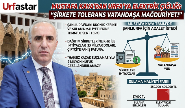 Saadetli İstanbul vekili Urfa'nın kanayan yarasını meclise taşıdı
