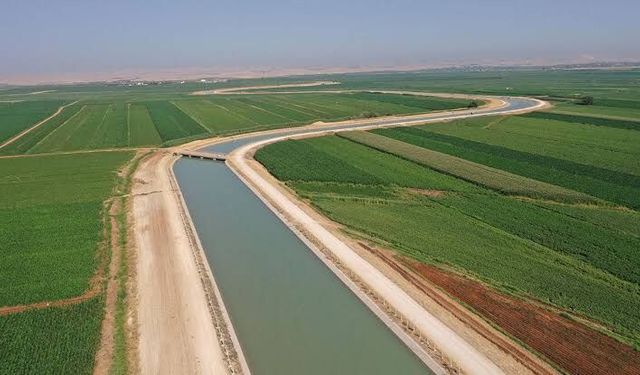 Urfa'da 344 kişiye rekor ceza yazıldı!